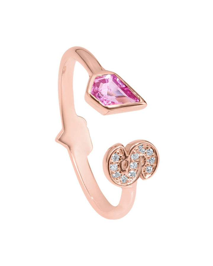 Aurora Initial Ring